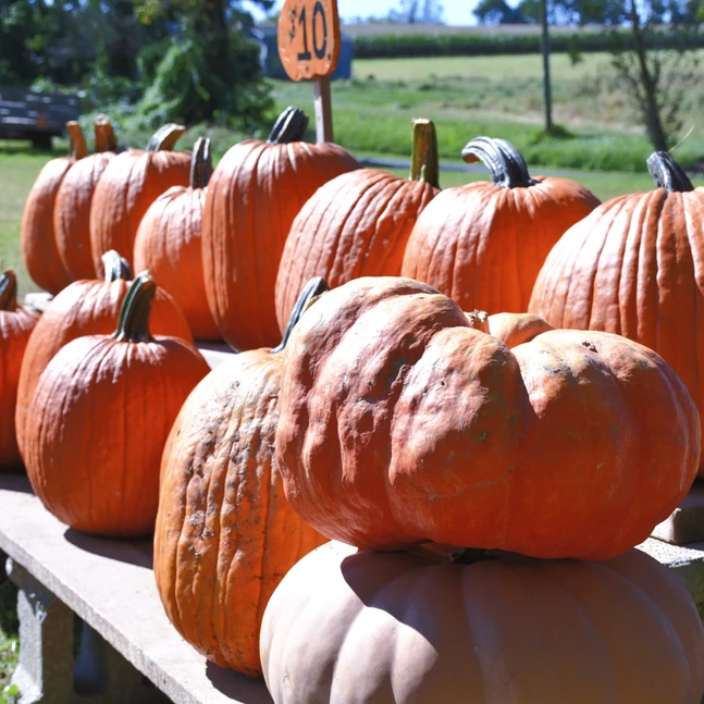 Pumpkin Spice Pancakes